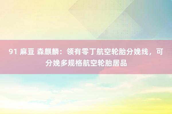 91 麻豆 森麒麟：领有零丁航空轮胎分娩线，可分娩多规格航空轮胎居品