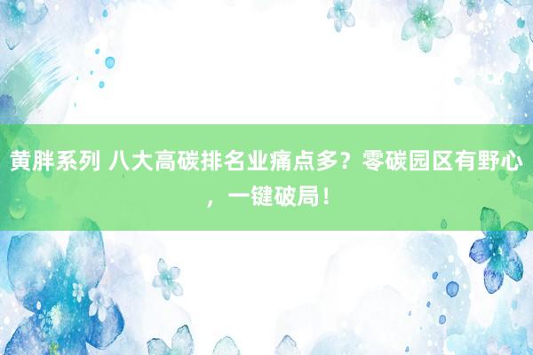 黄胖系列 八大高碳排名业痛点多？零碳园区有野心，一键破局！