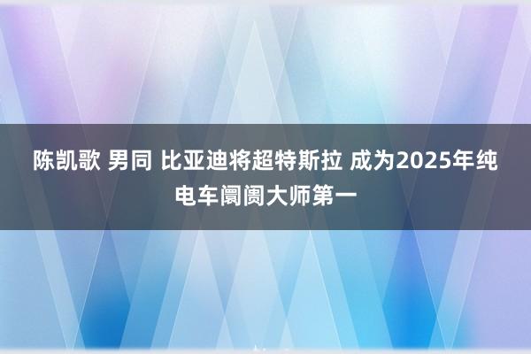 陈凯歌 男同 比亚迪将超特斯拉 成为2025年纯电车阛阓大师第一