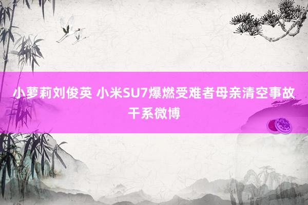 小萝莉刘俊英 小米SU7爆燃受难者母亲清空事故干系微博