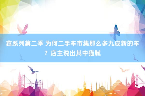 鑫系列第二季 为何二手车市集那么多九成新的车？店主说出其中猫腻