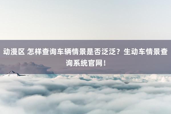 动漫区 怎样查询车辆情景是否泛泛？生动车情景查询系统官网！
