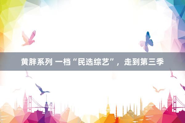 黄胖系列 一档“民选综艺”，走到第三季