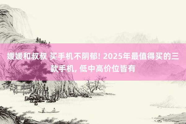 媛媛和叔叔 买手机不阴郁! 2025年最值得买的三款手机， 低中高价位皆有