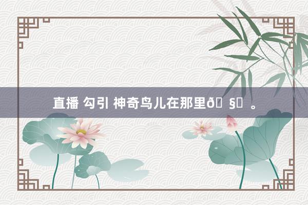 直播 勾引 神奇鸟儿在那里🧐。