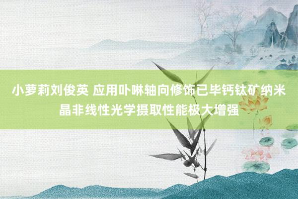 小萝莉刘俊英 应用卟啉轴向修饰已毕钙钛矿纳米晶非线性光学摄取性能极大增强