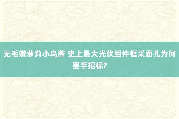 无毛嫩萝莉小鸟酱 史上最大光伏组件框采面孔为何罢手招标?