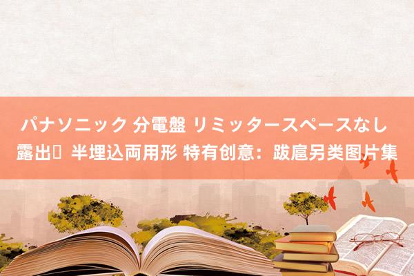 パナソニック 分電盤 リミッタースペースなし 露出・半埋込両用形 特有创意：跋扈另类图片集