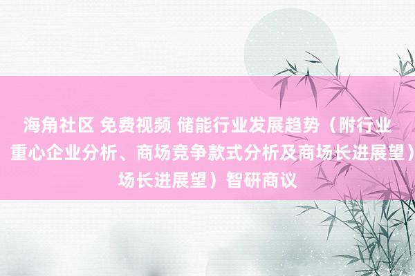 海角社区 免费视频 储能行业发展趋势（附行业发展历程、重心企业分析、商场竞争款式分析及商场长进展望）智研商议