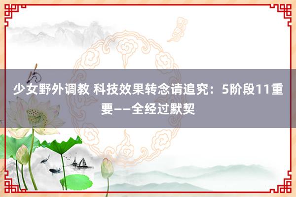 少女野外调教 科技效果转念请追究：5阶段11重要——全经过默契