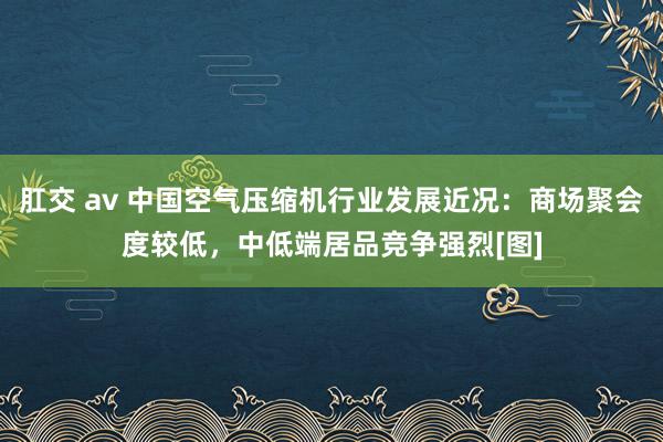 肛交 av 中国空气压缩机行业发展近况：商场聚会度较低，中低端居品竞争强烈[图]