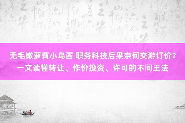 无毛嫩萝莉小鸟酱 职务科技后果奈何交游订价？一文读懂转让、作价投资、许可的不同王法
