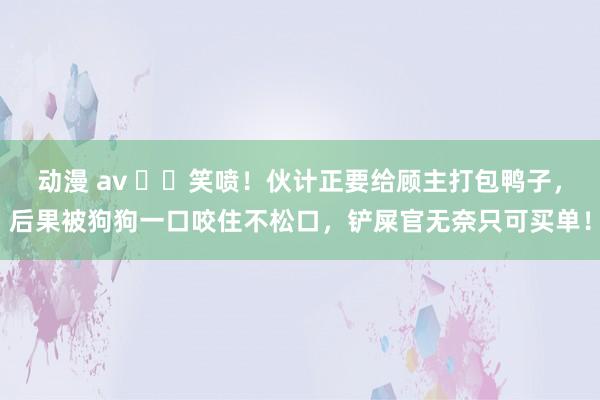 动漫 av ▶️笑喷！伙计正要给顾主打包鸭子，后果被狗狗一口咬住不松口，铲屎官无奈只可买单！