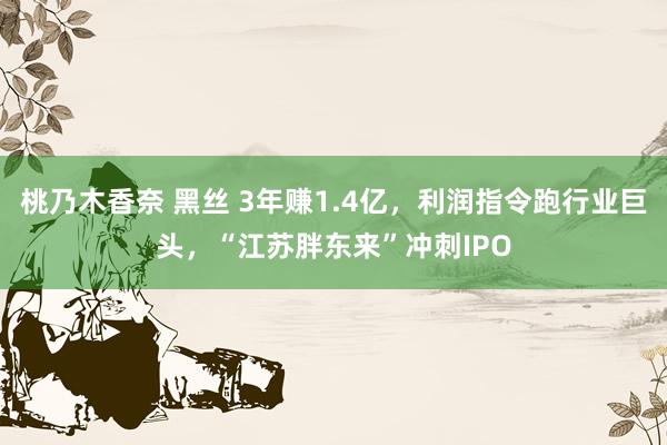 桃乃木香奈 黑丝 3年赚1.4亿，利润指令跑行业巨头，“江苏胖东来”冲刺IPO